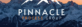 Pinnacle Process Group Logo
